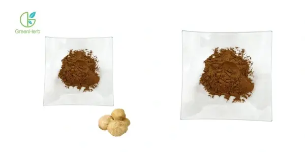 Lion's Mane Mushroom Extract.webp